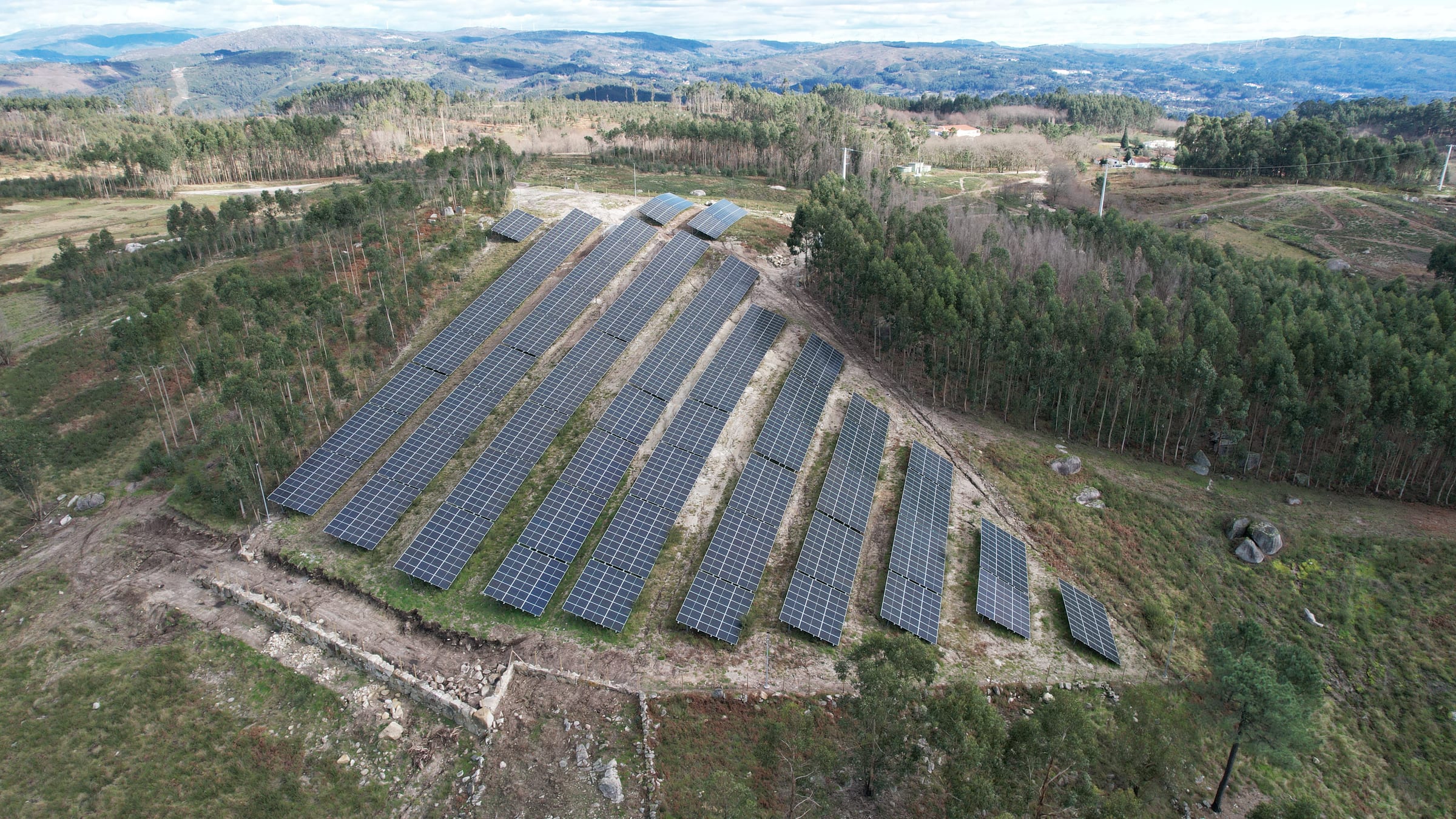 Filas de painéis solares a descer a encosta junto ao limite da floresta
