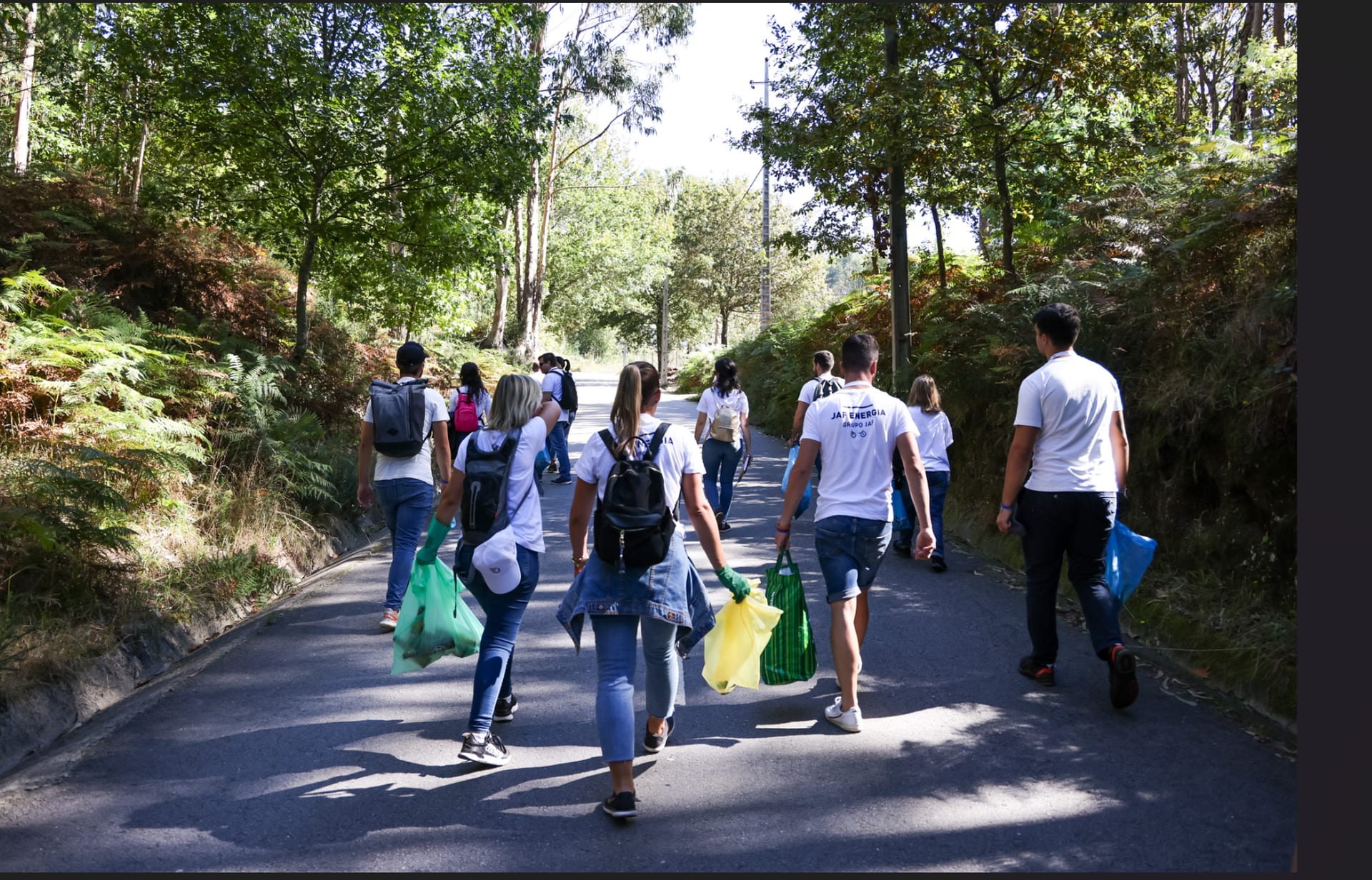 Equipa do Grupo JAF numa ação de limpeza florestal